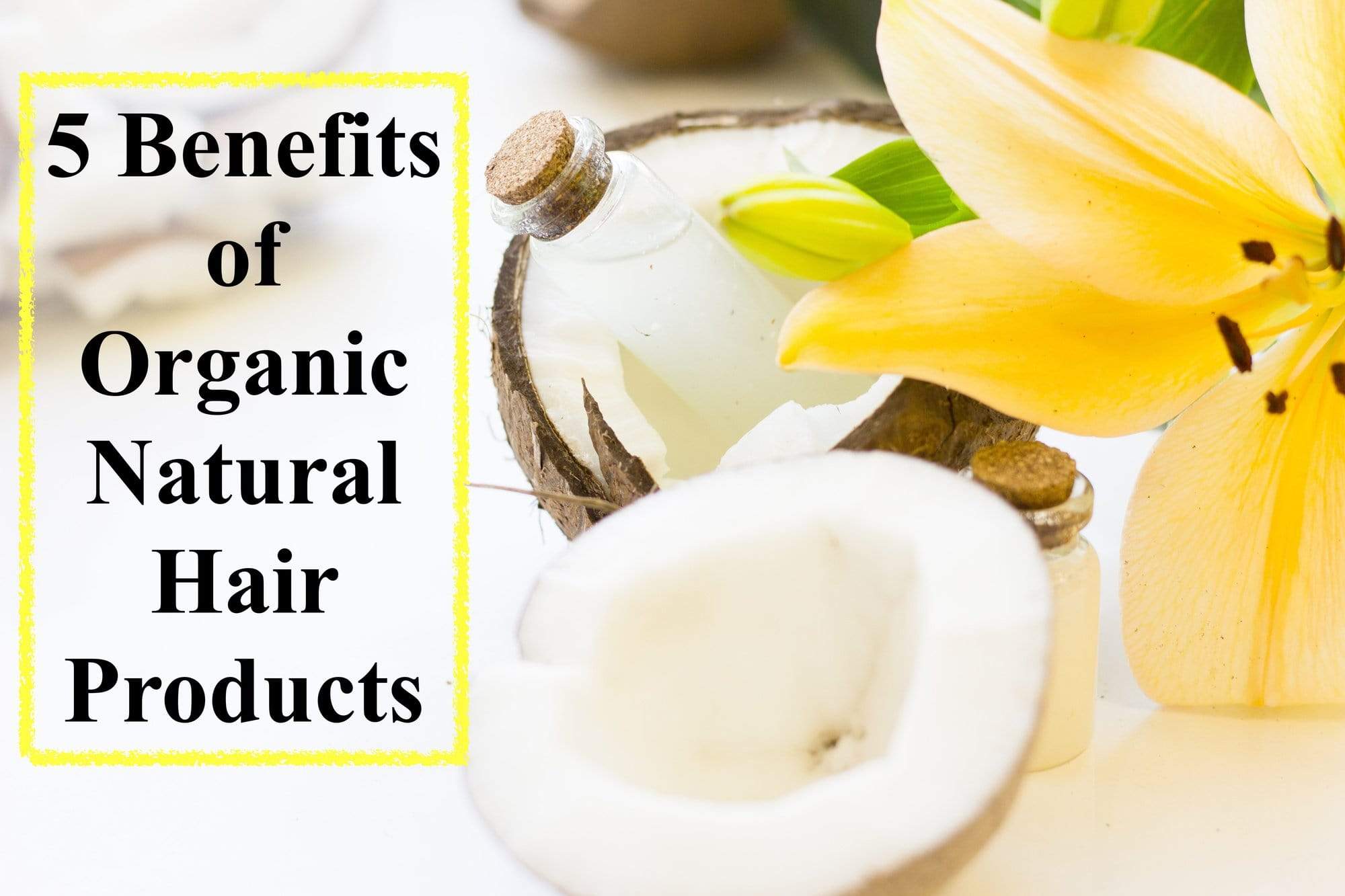 The Hair-Raising Facts: 5 Benefits of Organic, Natural Hair Products - Ethan Thomas Collection